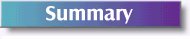 summary